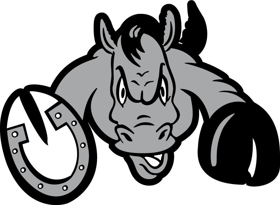 Rider Broncs 2000-2007 Secondary Logo diy iron on heat transfer